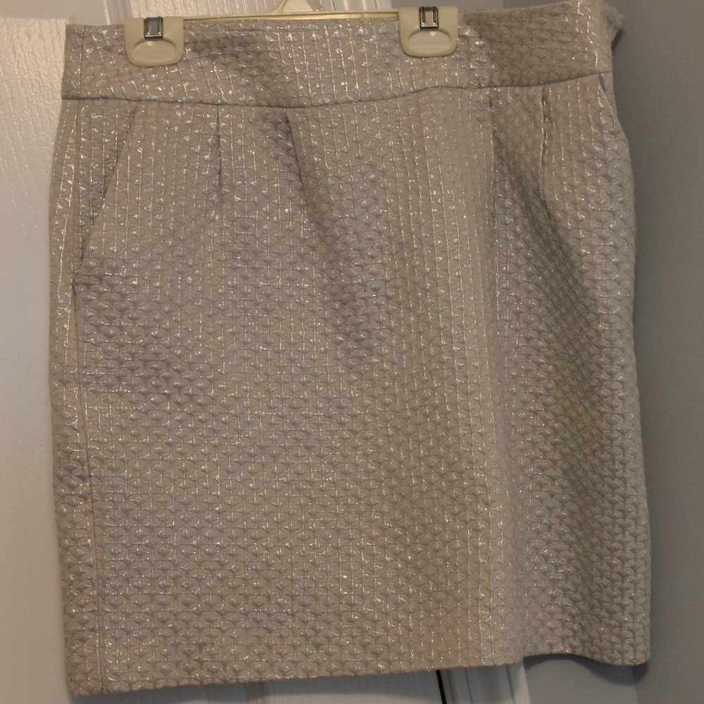 Silver skirt